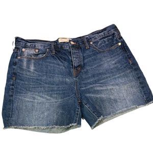 Madewell Button Fly Denim Cutoff Shorts | 32